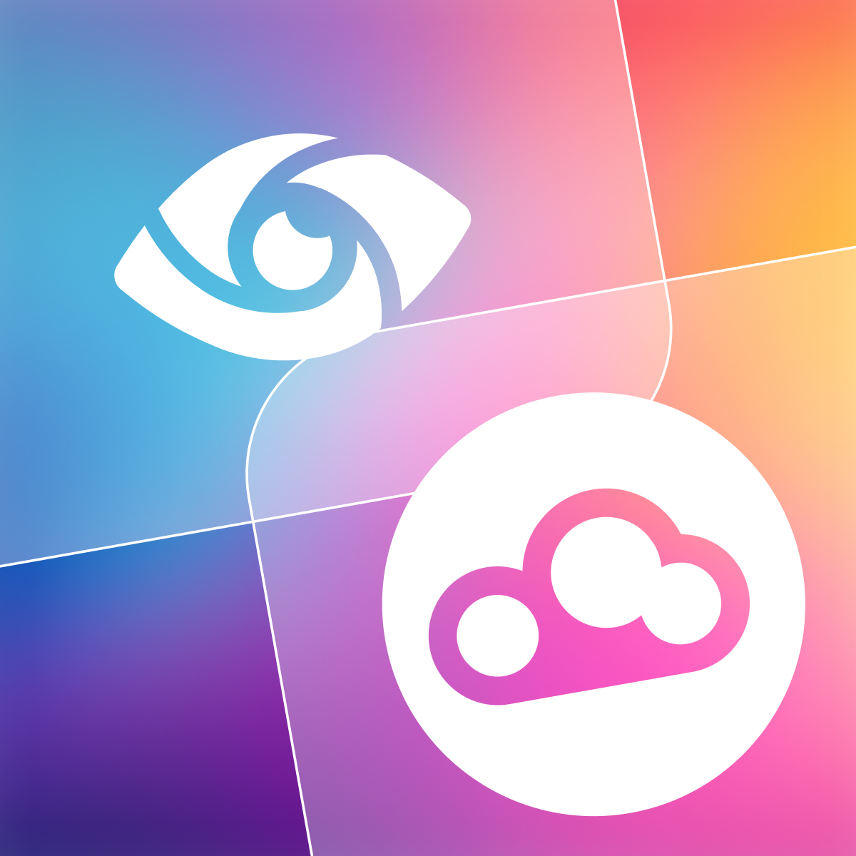 purview vs datagalaxy